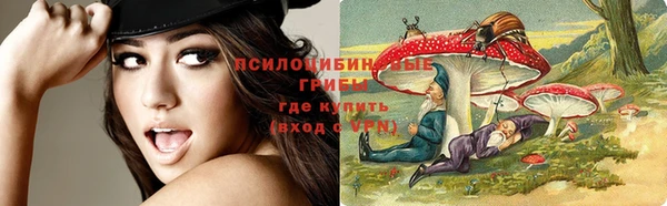 ешки Надым