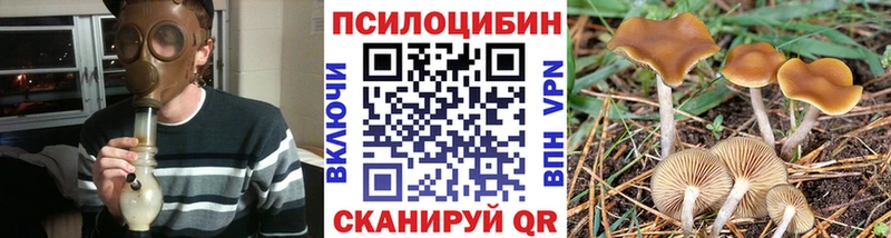 Псилоцибиновые грибы GOLDEN TEACHER Горячеводский
